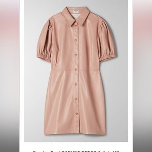 Aritzia Sunday Best Faux Leather Shirt Dress